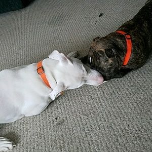 Meet your Posher, Kacey